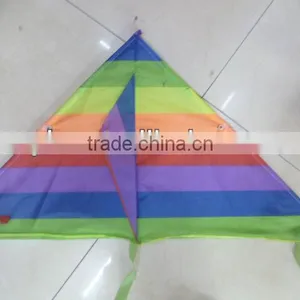 Kites thumbnail-1