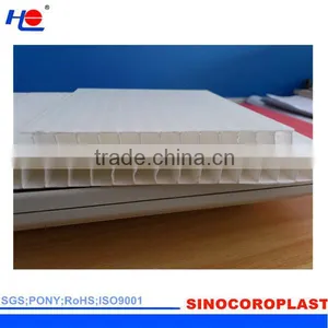 Cleaning Durable and Not Mildew Correx Polypropylene Fluted Board thumbnail-6