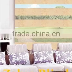 Fashion Day Night Zebra Blinds thumbnail-1