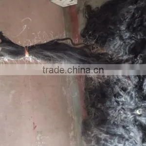 Raw Hair 27" Inch thumbnail-2