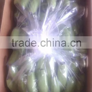Indian Banana thumbnail-4