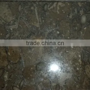 Fossil Stone thumbnail-3