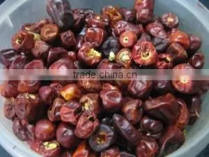 Bell Red Chilles thumbnail-5