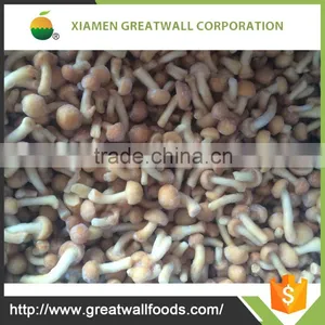 Purchase Frozen Wild Button Mushroom Price thumbnail-1