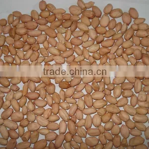 Fresh Raw Peanuts thumbnail-1