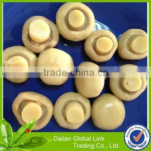 2015 New Crop Fresh Mushroom Champignon thumbnail-1