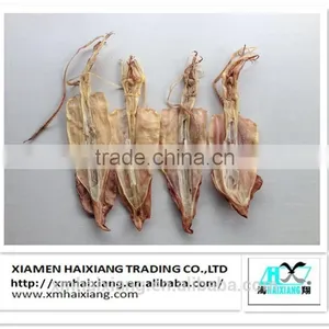 Export Dried Whole Squid for You thumbnail-1