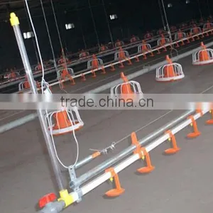 Advanced Design Automatic Farming Equipment for Broilers and Chickens thumbnail-6