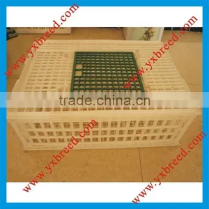Plastic Transport Box for Chickens thumbnail-1
