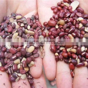 Soya Bean Polishing Machine thumbnail-6