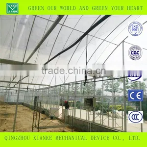 Agriculture Galvanized Steel Structure Greenhouse for Planting thumbnail-3