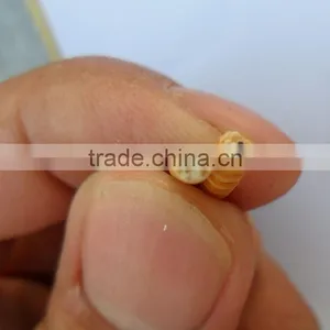 Aquarium Fish Food / Ornamental Fish Food,Dried Mealworms Fish Feed thumbnail-6