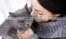 Pet Care Cat Food Kitten Formula thumbnail-1