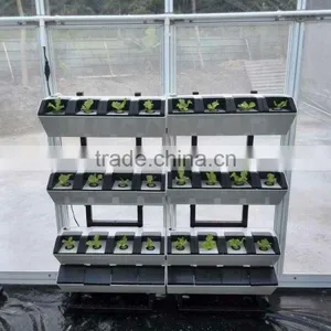 Plastic Garden Structure Wholesale Hydroponic Greenhouse thumbnail-2