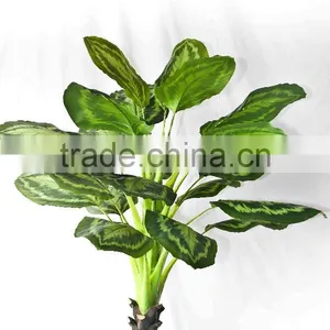 Supply Artificial Scindapsus Bonsai thumbnail-2
