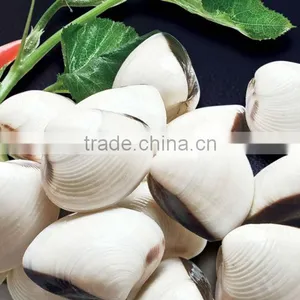 Frozen Clam thumbnail-1