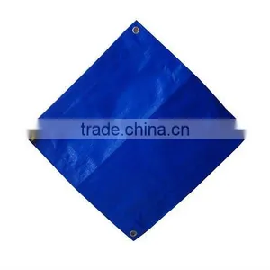 Blue Tarp With Strip thumbnail-1