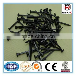 Blue Shoe Tack Nails From Manufacture thumbnail-1