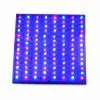 LED Grow Lighting thumbnail-1