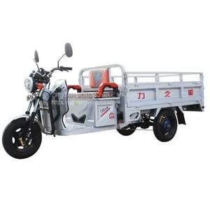 Tricycle thumbnail-5