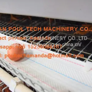 Cameroon Poultry Farming A Type Battery Layer Cage & Chicken Coop & Hot Galvanized Cage & Hen Cage With 120 Birds in Shed thumbnail-1
