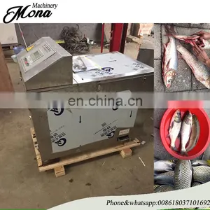 Easy Operation Fish Killing Scaling Gutting Machine/small Fish Scaling Machine/samll Fish Cutting Machine thumbnail-6