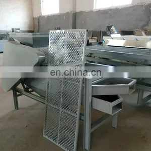 Almond Nuts Kernels Machine Almond Cracking Machine Almond Shelling Machine thumbnail-7