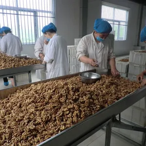 Hebei Suguo International Trade Co., Ltd company overview - view 1 thumbnail