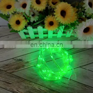 Hot Sales Holiday Decorative 2M Transparent Tube 20L Copper Wire String Lights For Outdoor Decoration thumbnail-2
