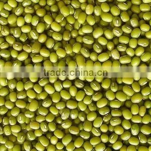 Green Mung Bean thumbnail-1