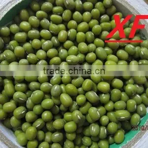 Organic Mung Bean thumbnail-1