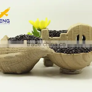 Organic Black Rice thumbnail-1