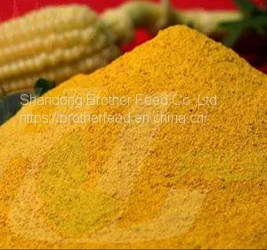 Protein 60% Animal Feed Poultry Feed Additive Grade Corn Gluten Meal Corn Not Gluten Meal thumbnail-2