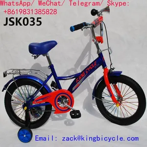 Standard Girls Kids Bicycle 20 Inch For 5-8 Years Old 90kg Load Capacity 12