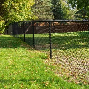 PVC Coated Chain Link Fence for Playground & Sports Field Fencing thumbnail-4