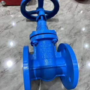 Factory Direct DIN Pn16 Cast Iron Ductile Iron GG25 Manual Gate Valve Hard Seal GGG50 Flange Wedge Gate Valve thumbnail-5
