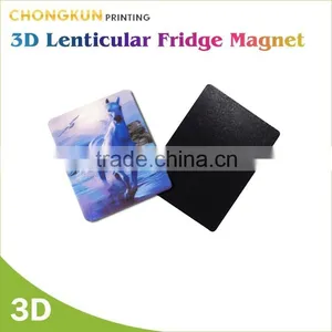 Fridge Magnet/Custom Fridge Magnet/Fridge Magnet Wholesale thumbnail-3