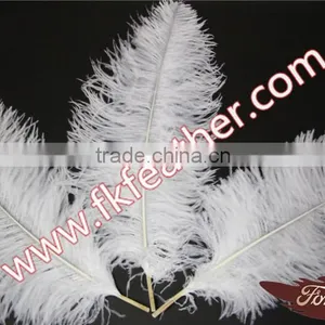 Large White Ostrich Feather Long 50cm-55cm Wedding And Stage Decorations thumbnail-2