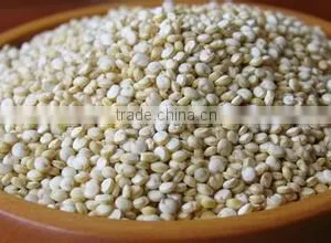 Quinoa thumbnail-2