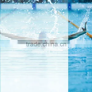 2014 New Tinting Film Chameleon thumbnail-1