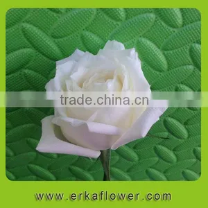Wide Varieties Newest Fresh Climbing Roses thumbnail-1