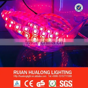 Hot Sale Display Light Led thumbnail-1