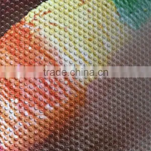 UV One Way Vision Printing thumbnail-2