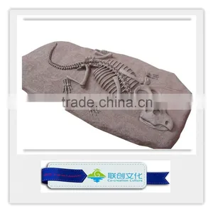 Park Decoration Artificial Life Size Dinosaur Bones thumbnail-6