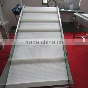 Food Grade PP Belt Conveyor System for Different Industries thumbnail-2