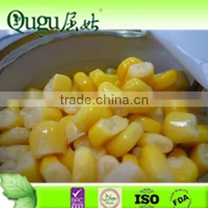 Cheap Price Sweet Corn, Canned Sweet Corn Factory, Wholesale Canned Sweet Corn thumbnail-1