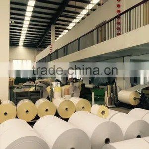 Sticker Paper in Roll With BV Certification thumbnail-2