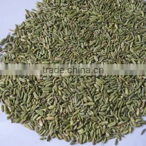 Fennel Seed thumbnail-1