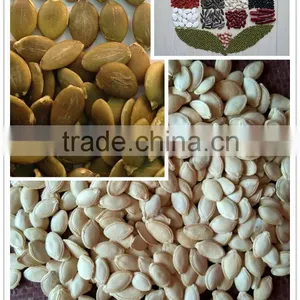 Pumpkin Seeds Grown Without Shell/gws thumbnail-1