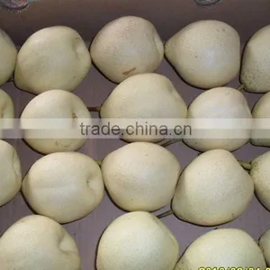 Fresh ya Pear Asia Pear With Cheap Price thumbnail-3